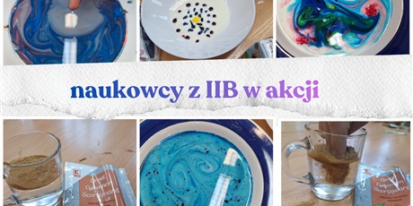 Koło naukowe klasy IIB