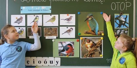 POMÓŻMY PTAKOM PRZETRWAĆ ZIMĘ!